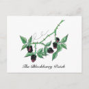 Recherche de nature blackberry posters Mûre
