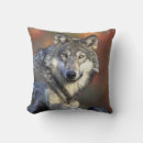 Recherche de loup gris coussins Animal sauvage