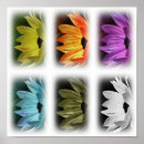 Suche nach multiregion poster Flora
