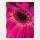 Recherche de gerbera bureau fournitures Marguerie