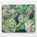 Suche nach hydrangea mousepads Fotografie
