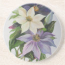 Suche nach clematis untersetzer Botanisch