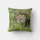 Recherche de marmottes coussins Rongeur