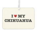 Recherche de papa maman voiture accessoires Chihuahua