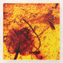 Recherche de ambre dessous de verres Orange