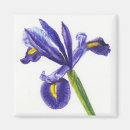 Suche nach iris blume magnete Aquarell