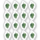 Recherche de monstera autocollants Aquarelle