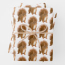 Suche nach eichhörnchen packpapier geschenkpapier Geschenkpackung