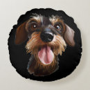 Recherche de dur coussins Dog