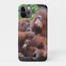 Recherche de orang outan iphone coques Orangs outans
