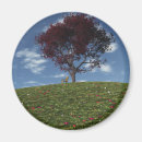 Suche nach wolken magnete Friedlich