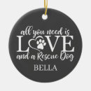Recherche de amour du besoin Et un chien