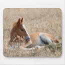 Suche nach wilder mustang mousepads Wildpferd