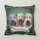 Recherche de blonde comme les blés Doux