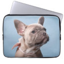 Suche nach french bulldog laptop schutzhüllen Welpe