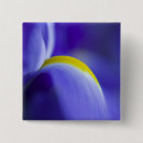 Suche nach blaue iris buttons Lila