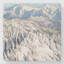 Recherche de terrain dessous de verres Arbre