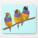 Suche nach fink mousepads Wild lebende tiere