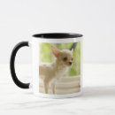 Suche nach tailles tasses Nahaufnahme