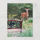 Recherche de fauve cartes postales Faune