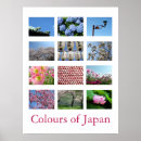 Suche nach rosa und blau poster Blume