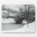 Suche nach schnee bedeckte baum Horizontal