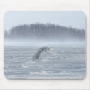 Suche nach schneeeule mousepads Winter