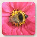 Suche nach hummel untersetzer Blume