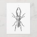 Suche nach käfer vintage postkarten Viktorianisch