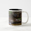 Recherche de zion tasses Désert