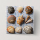 Suche nach seashell buttons Strand