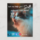 Recherche de jeu de chat cartes postales Drôle