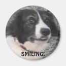 Suche nach schwarzer hund magnete Spaniel