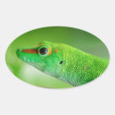 Recherche de lézard vert autocollants Nature