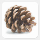 Suche nach single aufkleber Foto