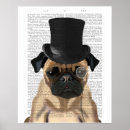 Recherche de carlins mignons posters Chiens de carlin