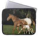 Suche nach fohlen laptop schutzhüllen Bob langrish