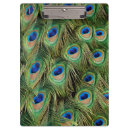 Recherche de plume porte blocs Plumes de paon