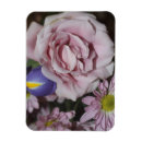 Recherche de gerber maison deco Photographie
