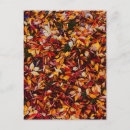 Suche nach herbstlaub postkarten Blatt