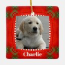 Recherche de petit chien ornements Garder