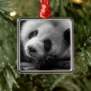 Recherche de chengdu maison deco Faune