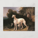 Recherche de étendu cartes postales Animal