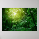 Suche nach dschungel kunst Wald