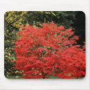 Suche nach ahornbaum mousepads Botanisch
