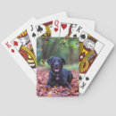 Recherche de labrador noir jeux de cartes Chien