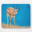 Suche nach und gr mousepads Tier