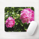 Recherche de horticulture électronique Rose