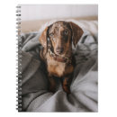 Suche nach dachshund kleine notizbücher Puppy
