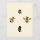Suche nach beetle poster Nature